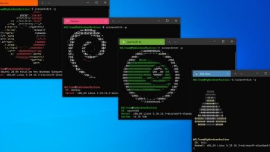 Windows Subsystem for Linux on Windows 10 |  wsl