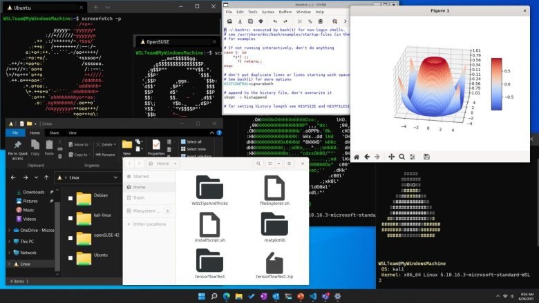 Windows Subsystem for Linux on Windows 10 |  wsl